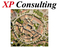 XP Consulting