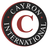 Cayron International