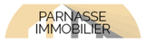 Parnasse Immobilier
