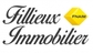 Fillieux immobilier
