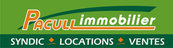 Pacull Immobilier