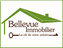 Bellevue Immobilier