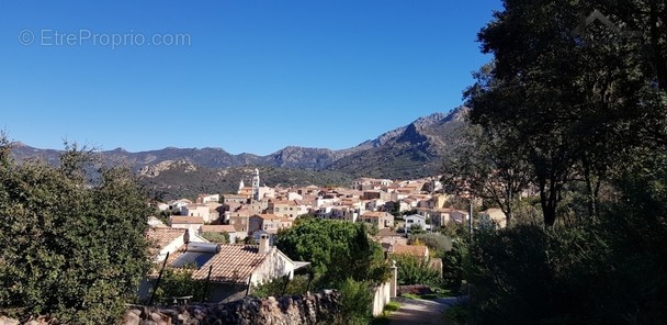 Terrain à CALENZANA