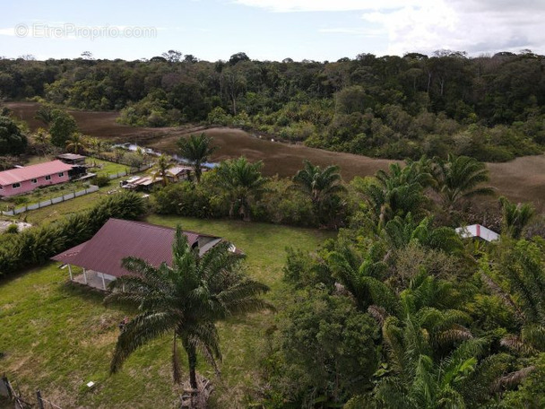 Vue aérienne des logements en duplex - Maison à MANA