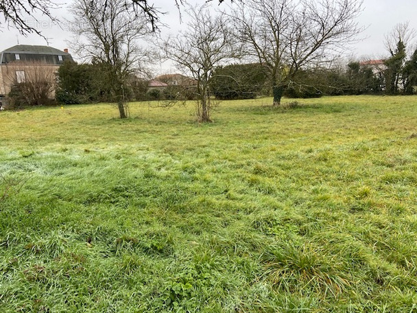 Terrain à SAINT-LAURE