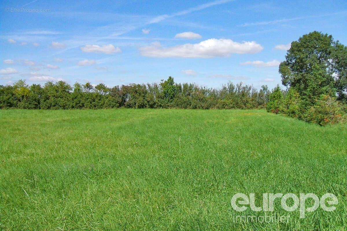 Terrain à PROVENCY
