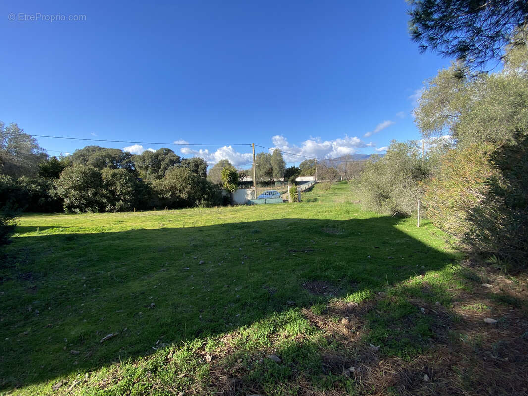 Maison à LINGUIZZETTA