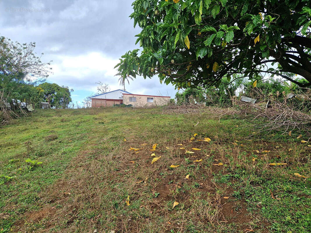 Terrain à LE LAMENTIN
