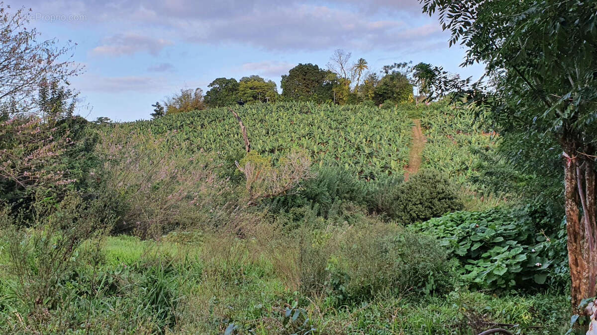 Terrain à LE LAMENTIN