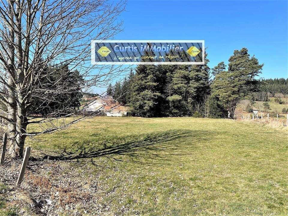 Terrain à SAINT-PAL-DE-MONS