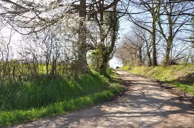 Terrain à BOULOGNE-SUR-GESSE