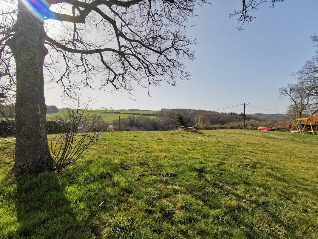 Terrain à SAINT-GEORGES-DE-MONS