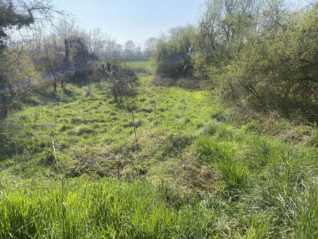 Terrain à SAINT-MICHEL-SUR-LOIRE