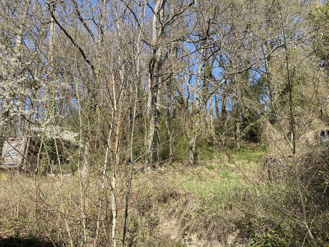 Terrain à SAINT-MICHEL-SUR-LOIRE