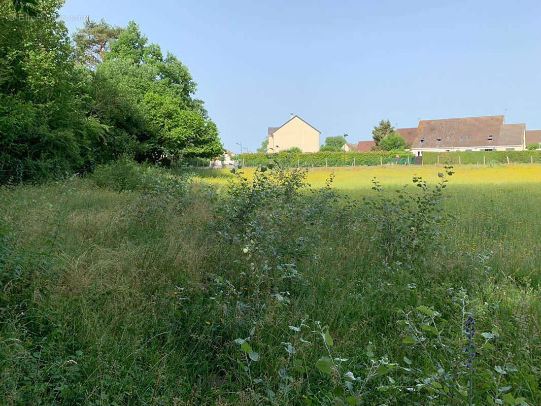 Terrain à ATHIES-SOUS-LAON