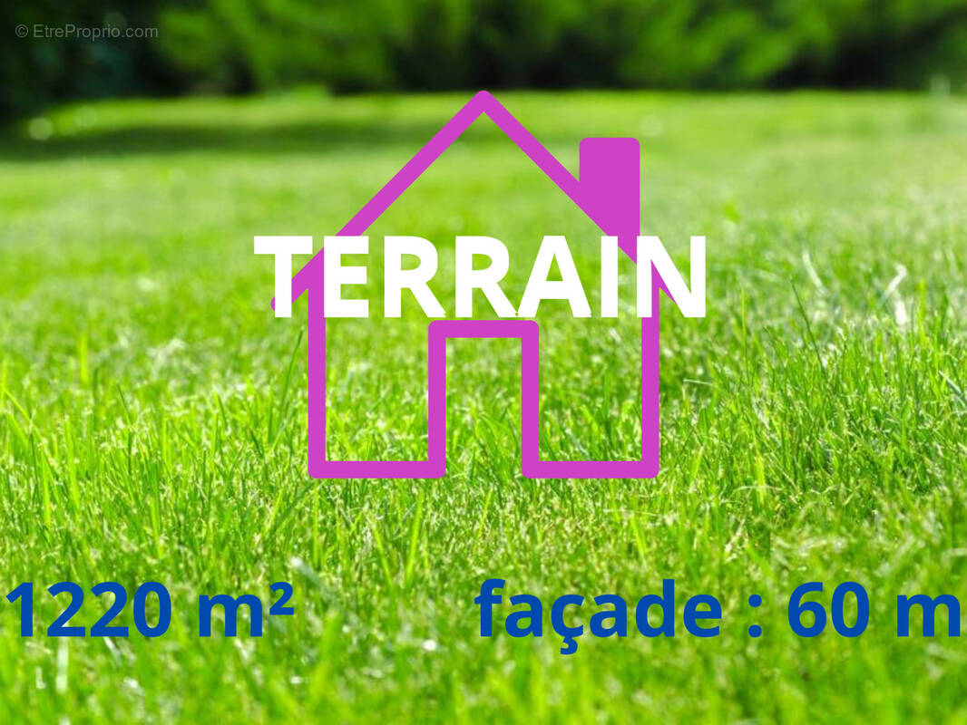 Terrain à AVESNES-LE-COMTE