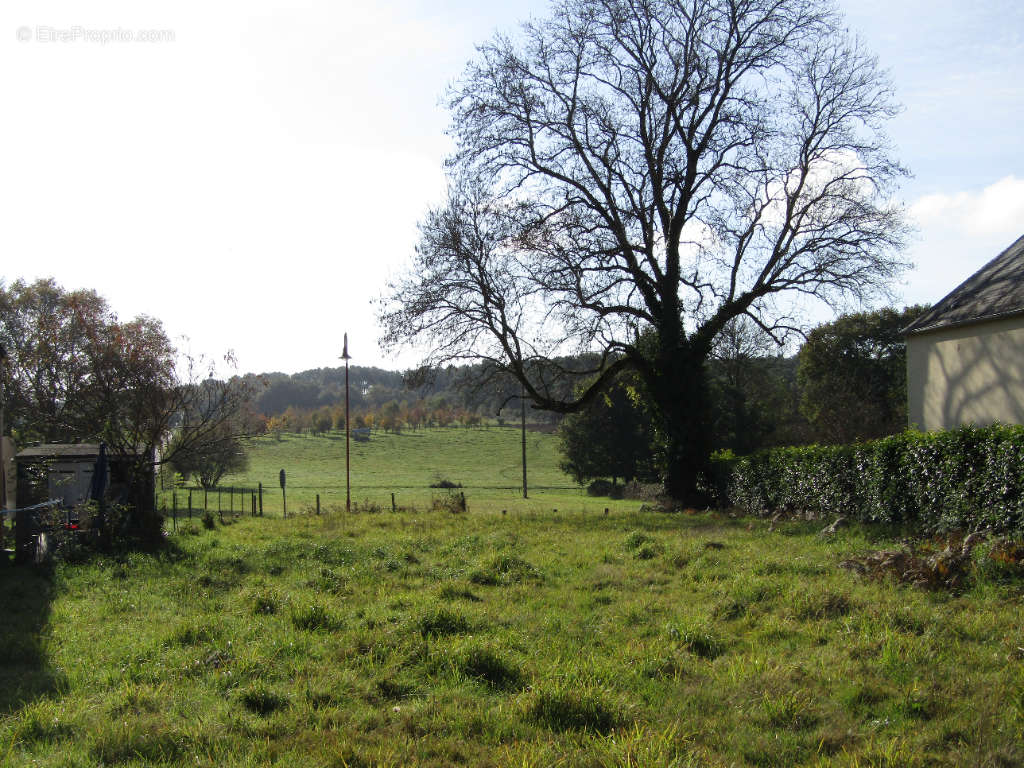 Terrain à SAINT-JUST