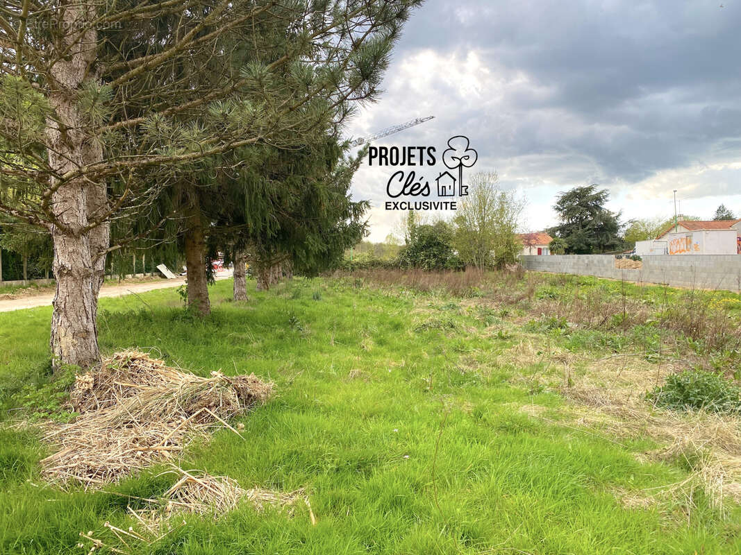 Terrain à LANDERONDE