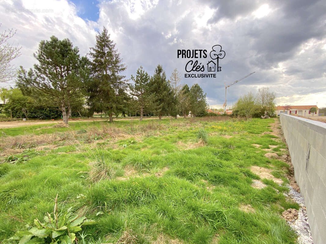 Terrain à LANDERONDE