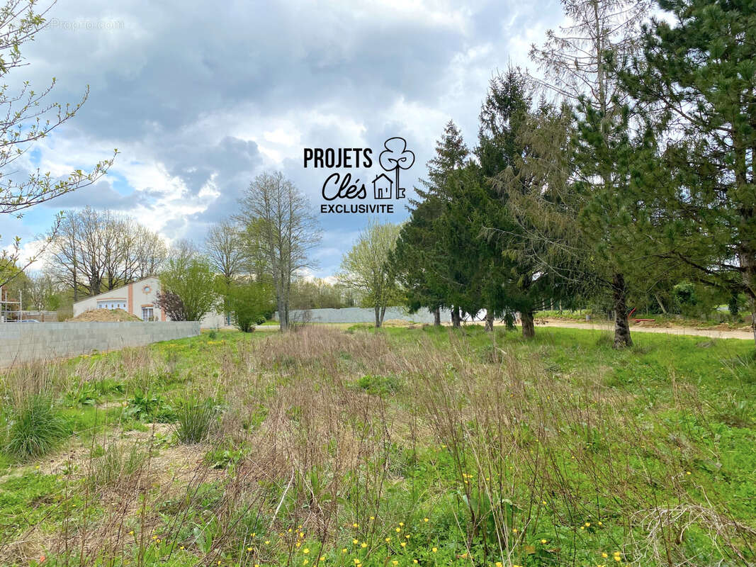 Terrain à LANDERONDE