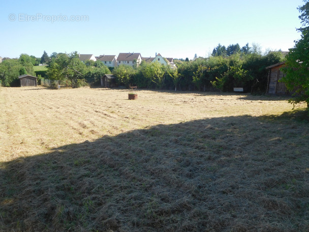 Terrain à SAINT-YRIEIX-LA-PERCHE