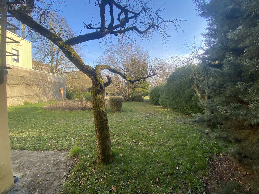 Maison à THIONVILLE