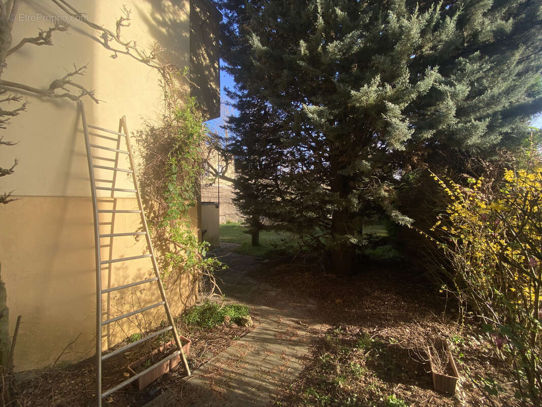 Maison à THIONVILLE