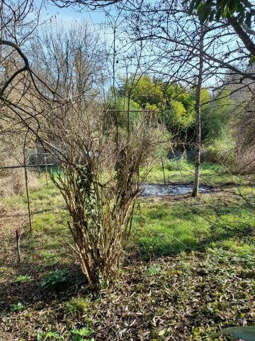 Maison à FAVERELLES