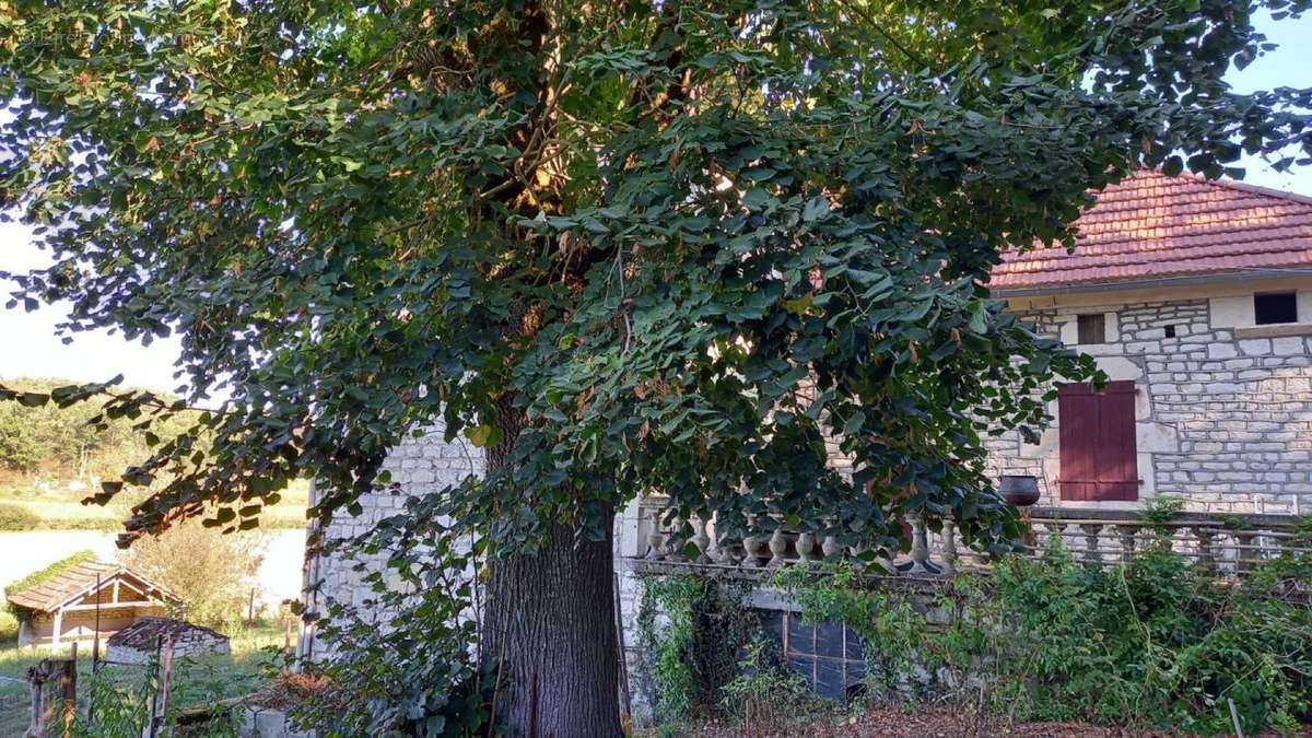 jardin - Maison à CASTELNAU-MONTRATIER