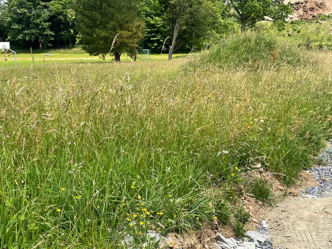 IMG_2713 - Maison à OLORON-SAINTE-MARIE