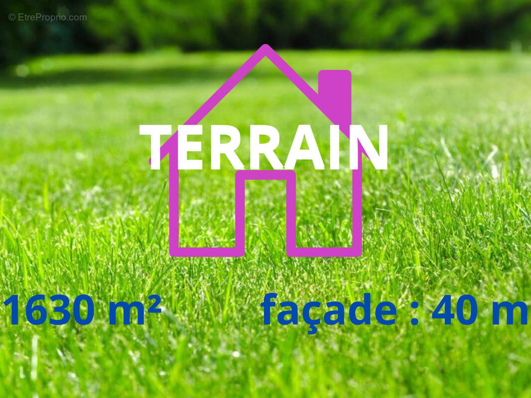 Terrain à AVESNES-LE-COMTE