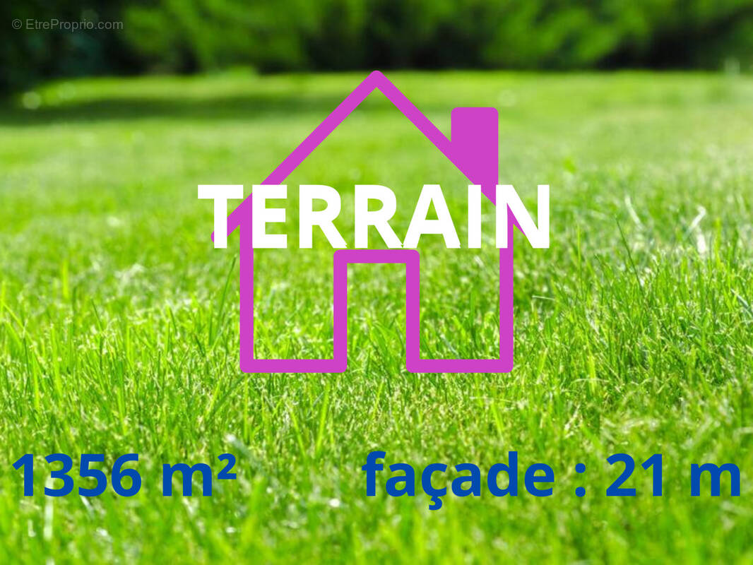 Terrain à AVESNES-LE-COMTE