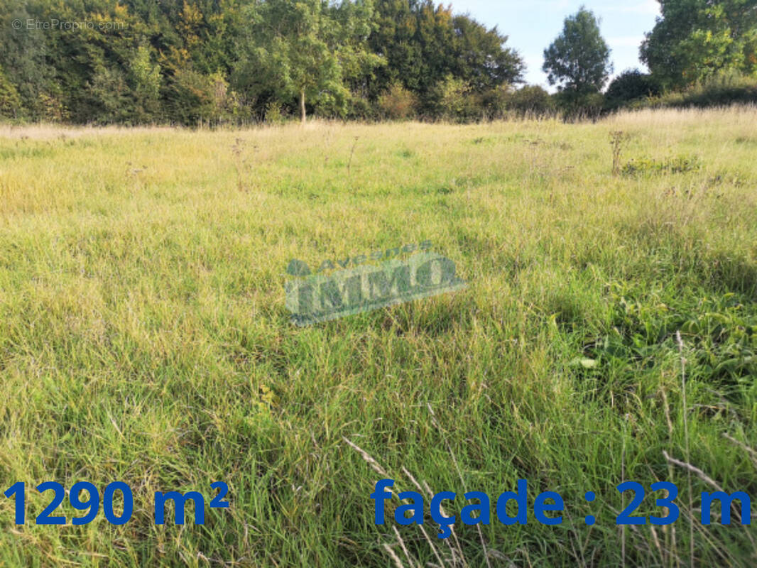 Terrain à AVESNES-LE-COMTE