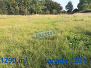 Terrain à AVESNES-LE-COMTE