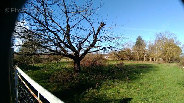 Terrain à LUSSAC-LES-CHATEAUX