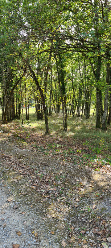 Terrain à CHARTRIER-FERRIERE