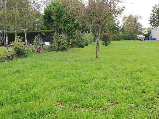 Terrain à MARIGNY