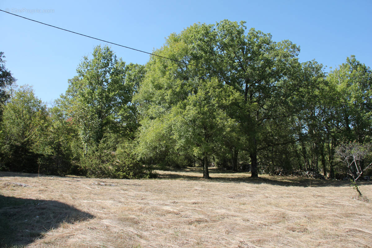 Terrain à MARCILHAC-SUR-CELE