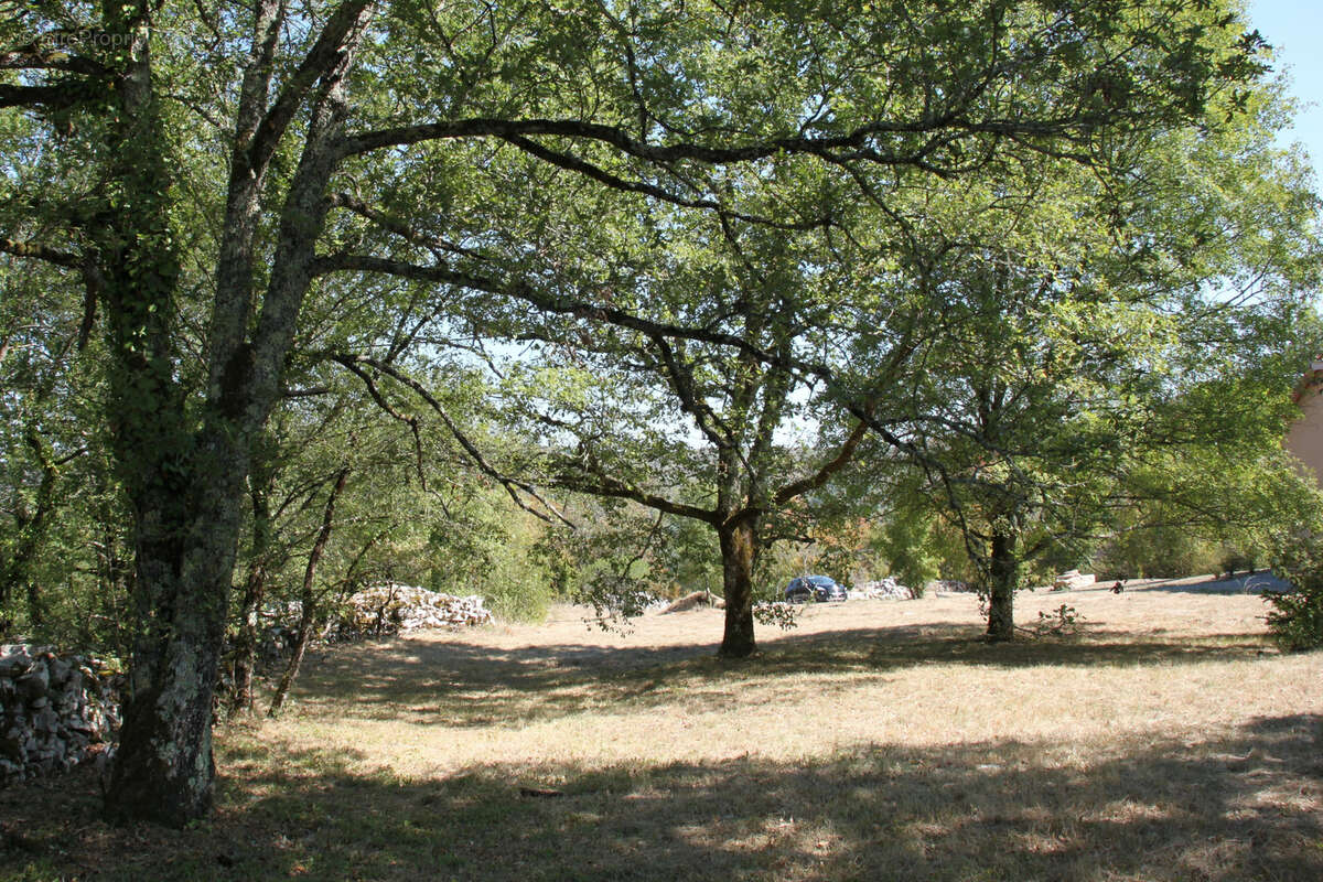 Terrain à MARCILHAC-SUR-CELE