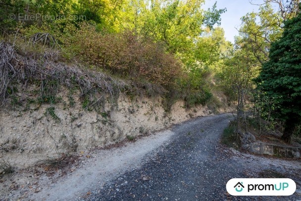 Terrain à L&#039;ESCARENE