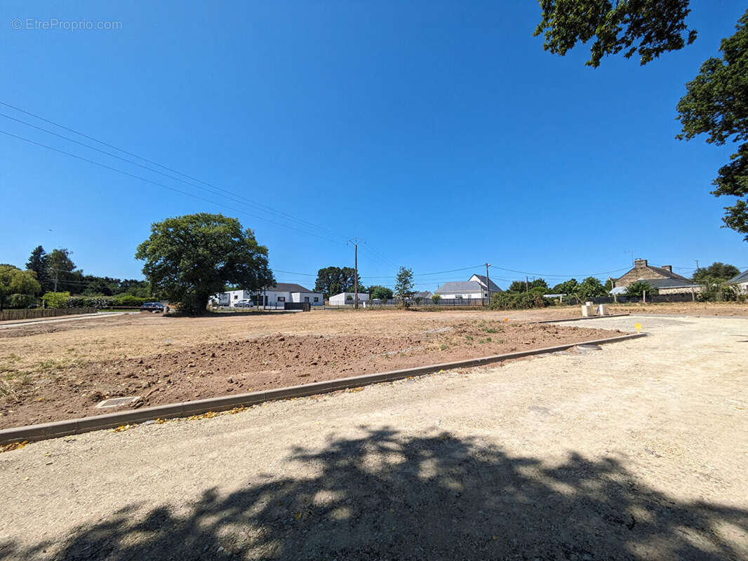 Terrain à SAINT-DOLAY