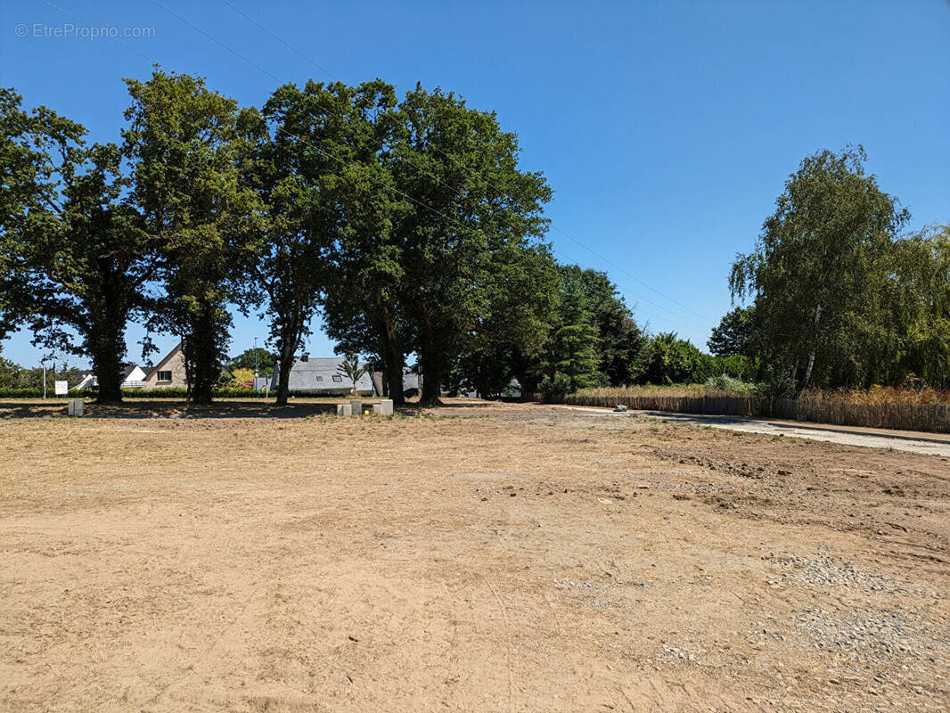 Terrain à SAINT-DOLAY