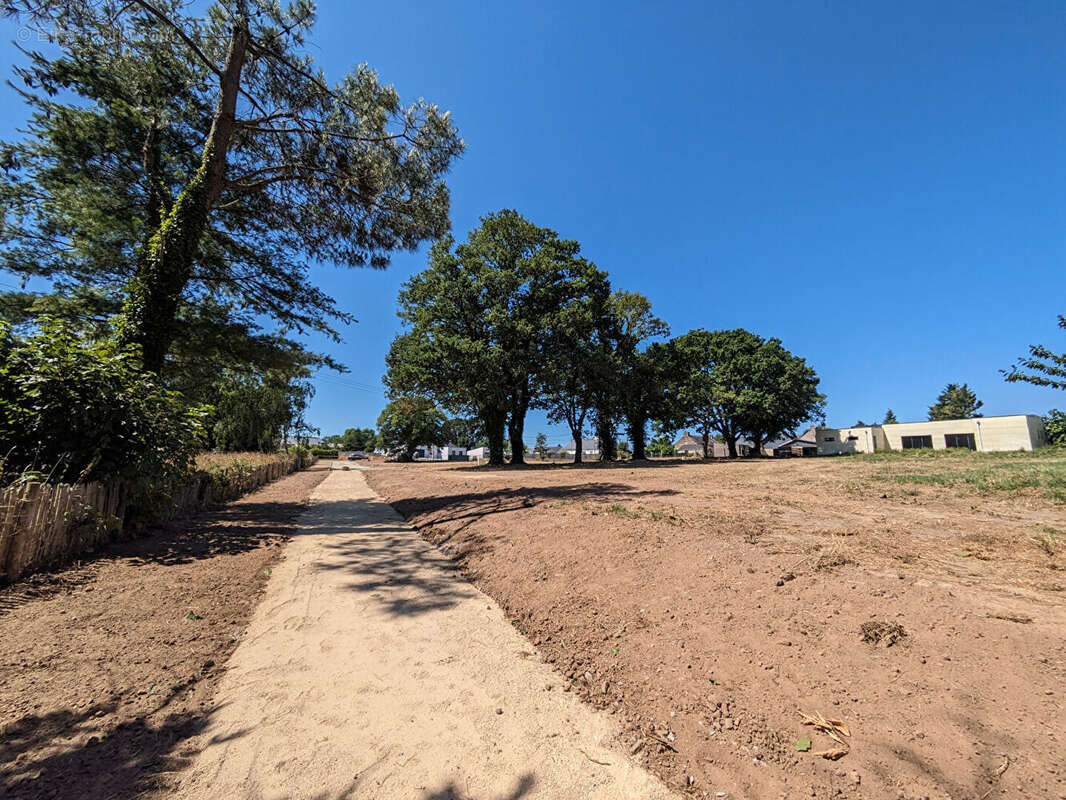 Terrain à SAINT-DOLAY