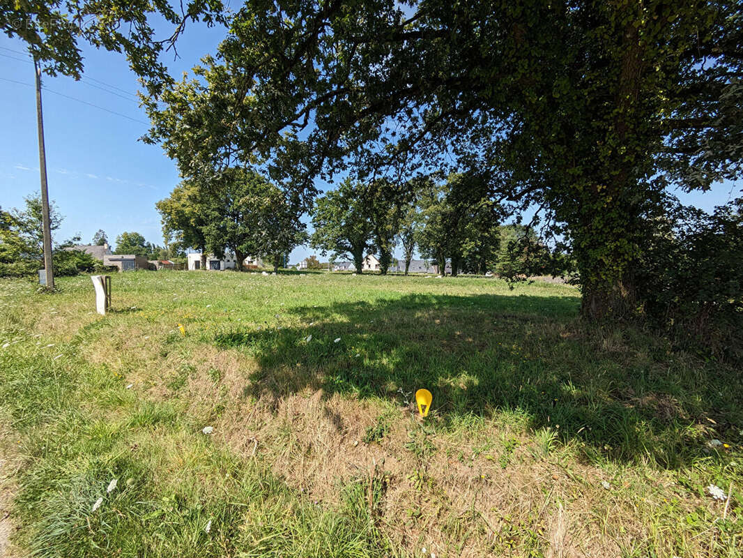 Terrain à SAINT-DOLAY