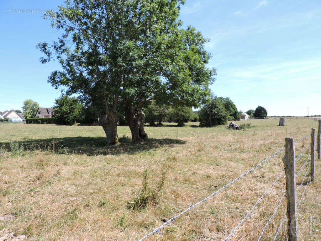 Terrain à MONTFORT-SUR-RISLE