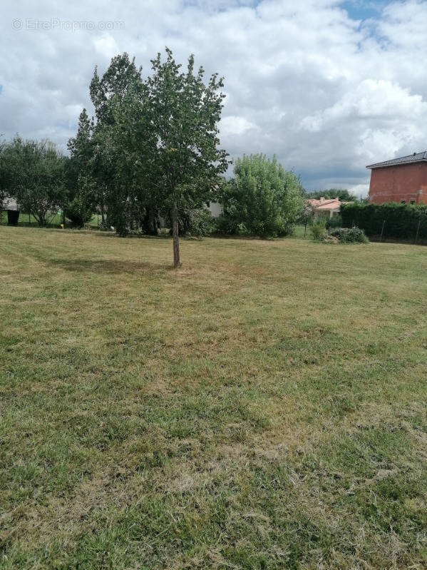 Terrain à SAINT-ETIENNE-DE-TULMONT