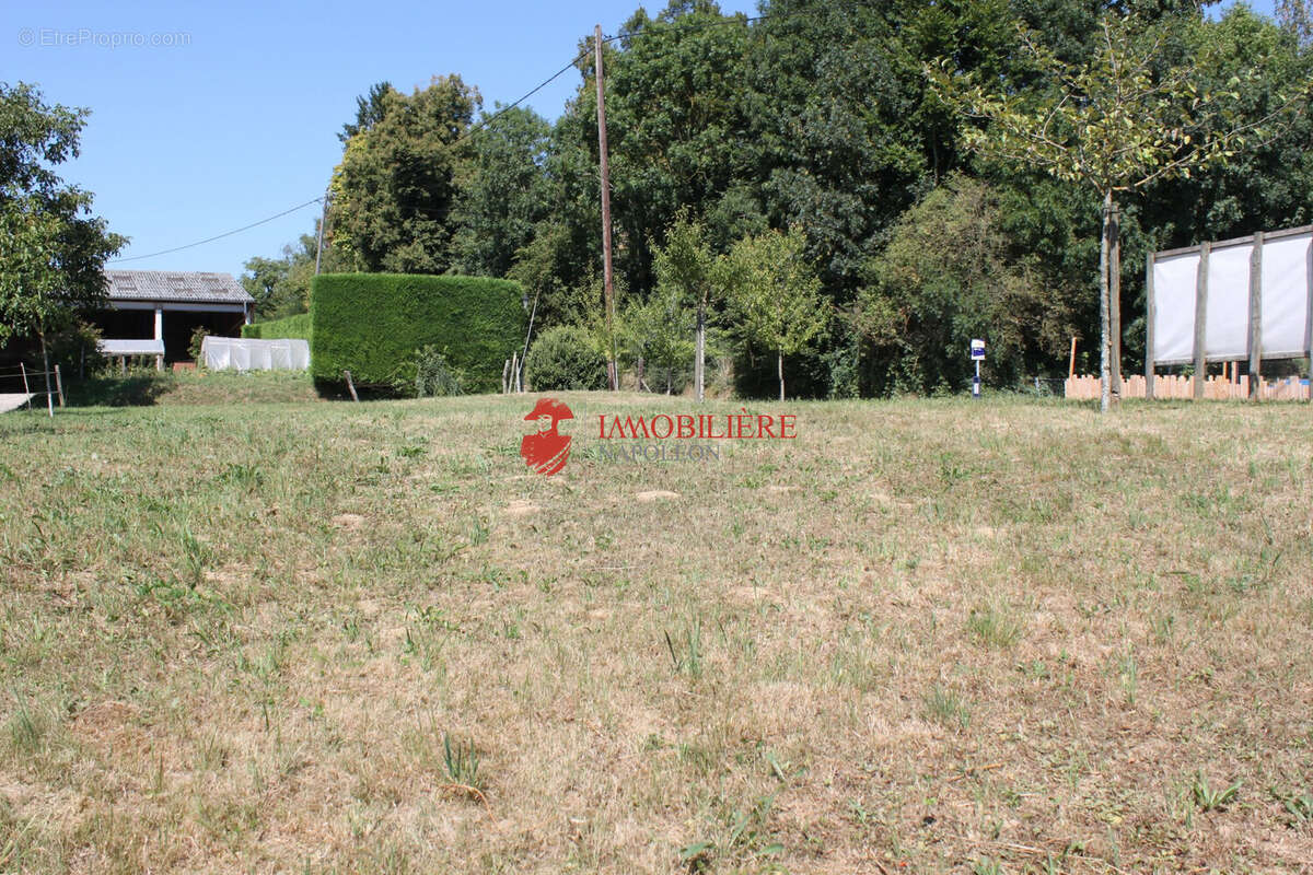 Terrain à SAINT-BERNARD