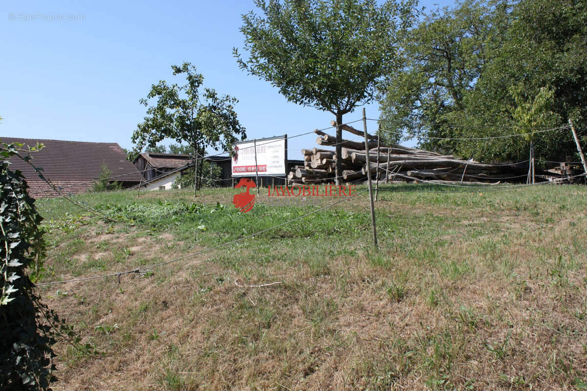Terrain à SAINT-BERNARD