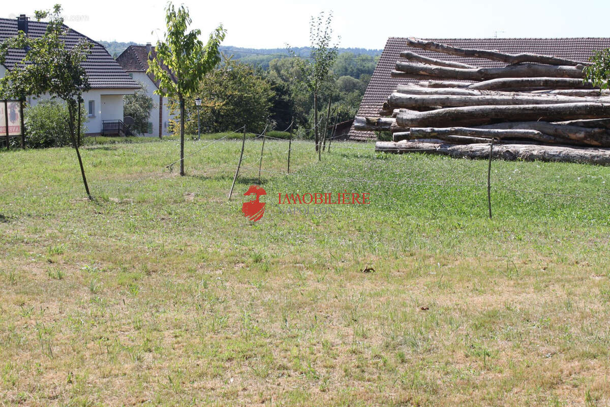 Terrain à SAINT-BERNARD