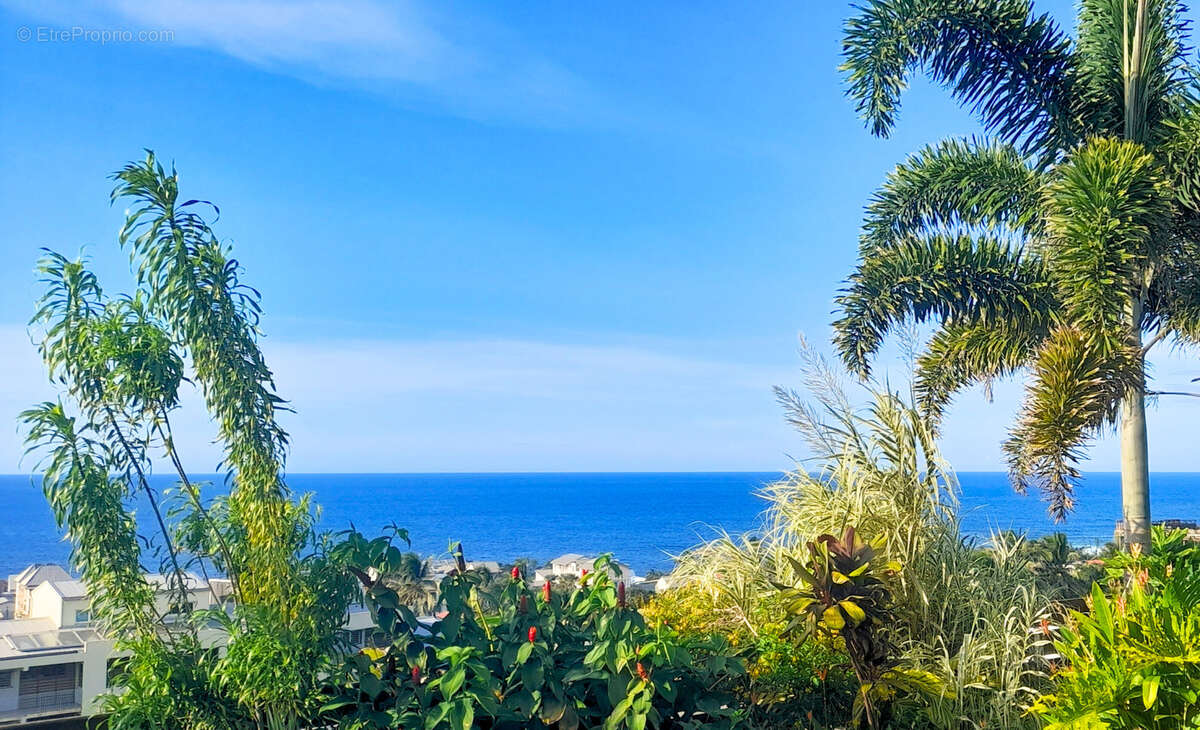 Terrain à SAINT-PIERRE